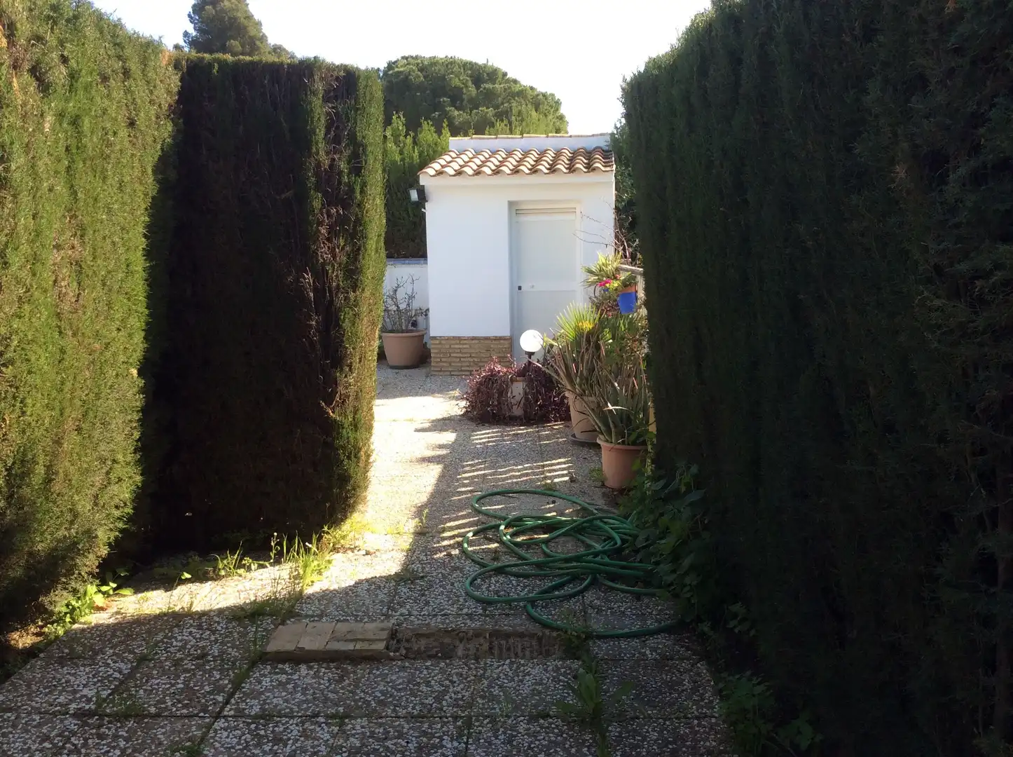 Jardí de Casa o xalet en venda en Espartinas amb Aire condicionat, Calefacció i Jardí privat