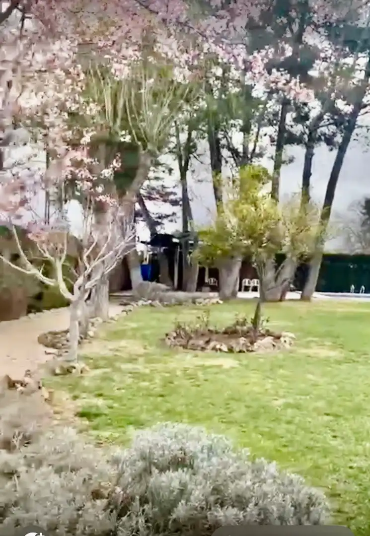 Vista exterior de Casa o chalet en venta en Albacete con Aire acondicionado, Calefacción y Jardín privado