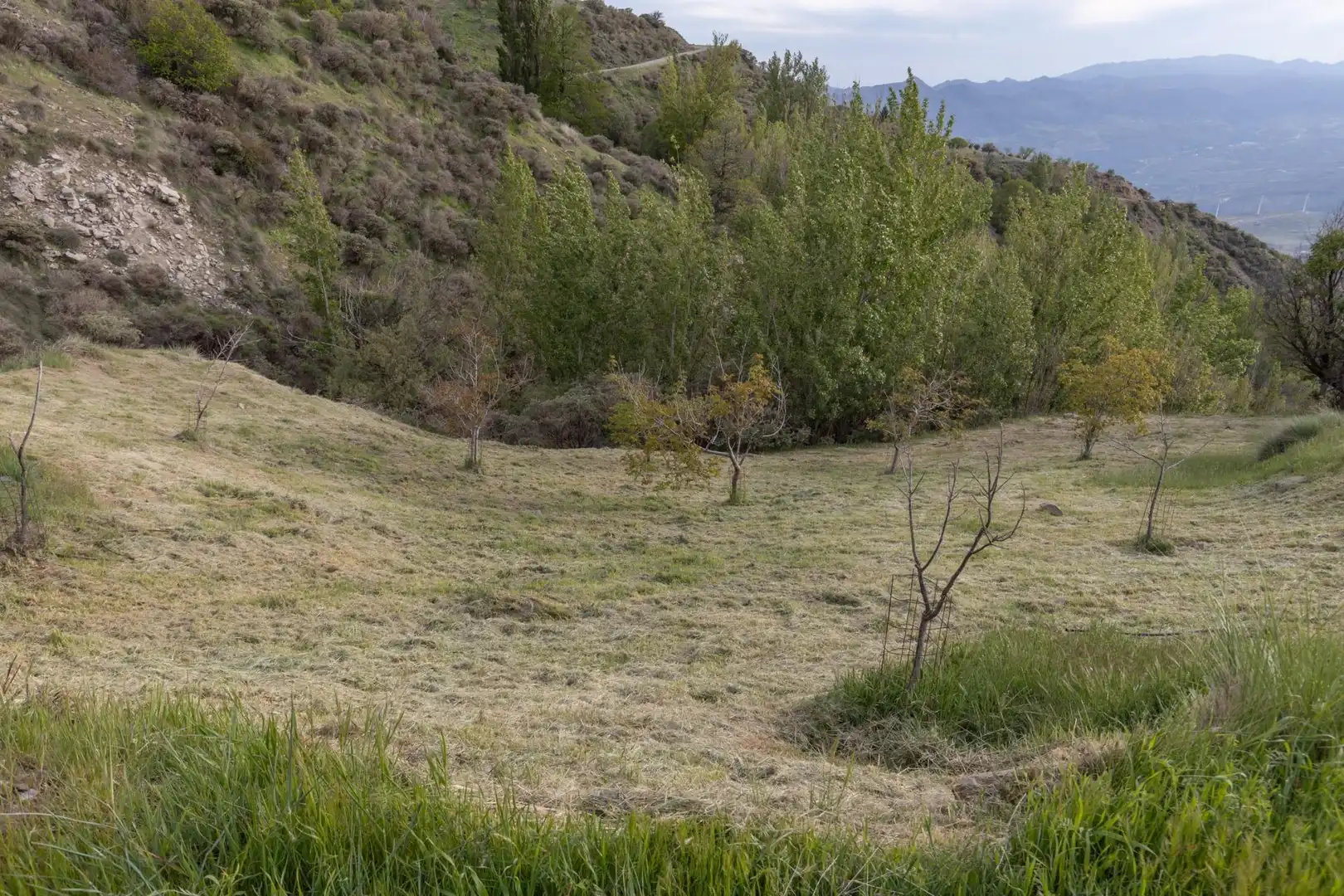 Finca rústica en venta en Nigüelas con Amueblado