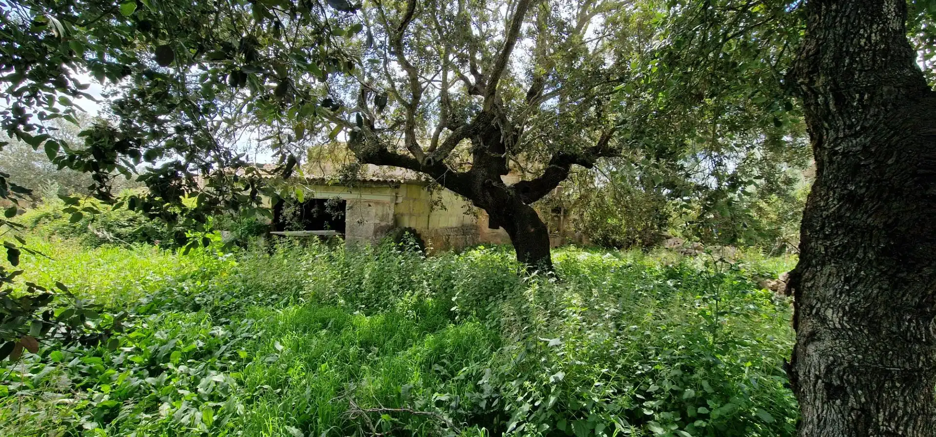 Country homes for sale in Manacor