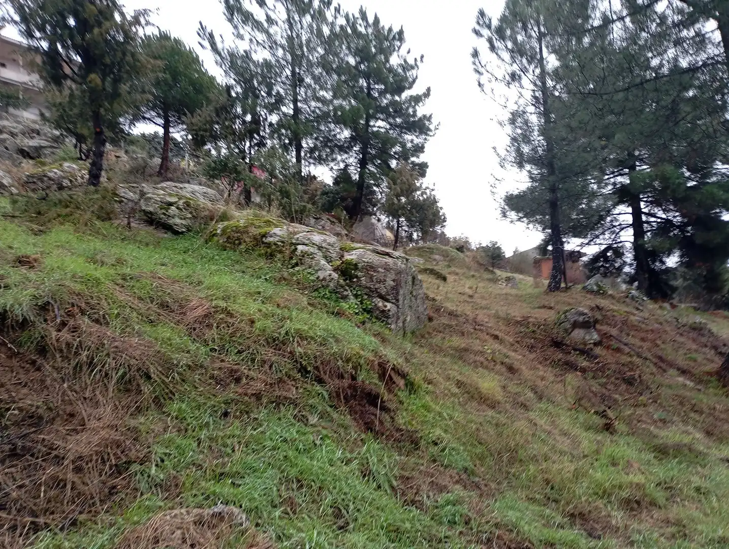Terreni e lotti in vendita a Robledo de Chavela, imagen 33