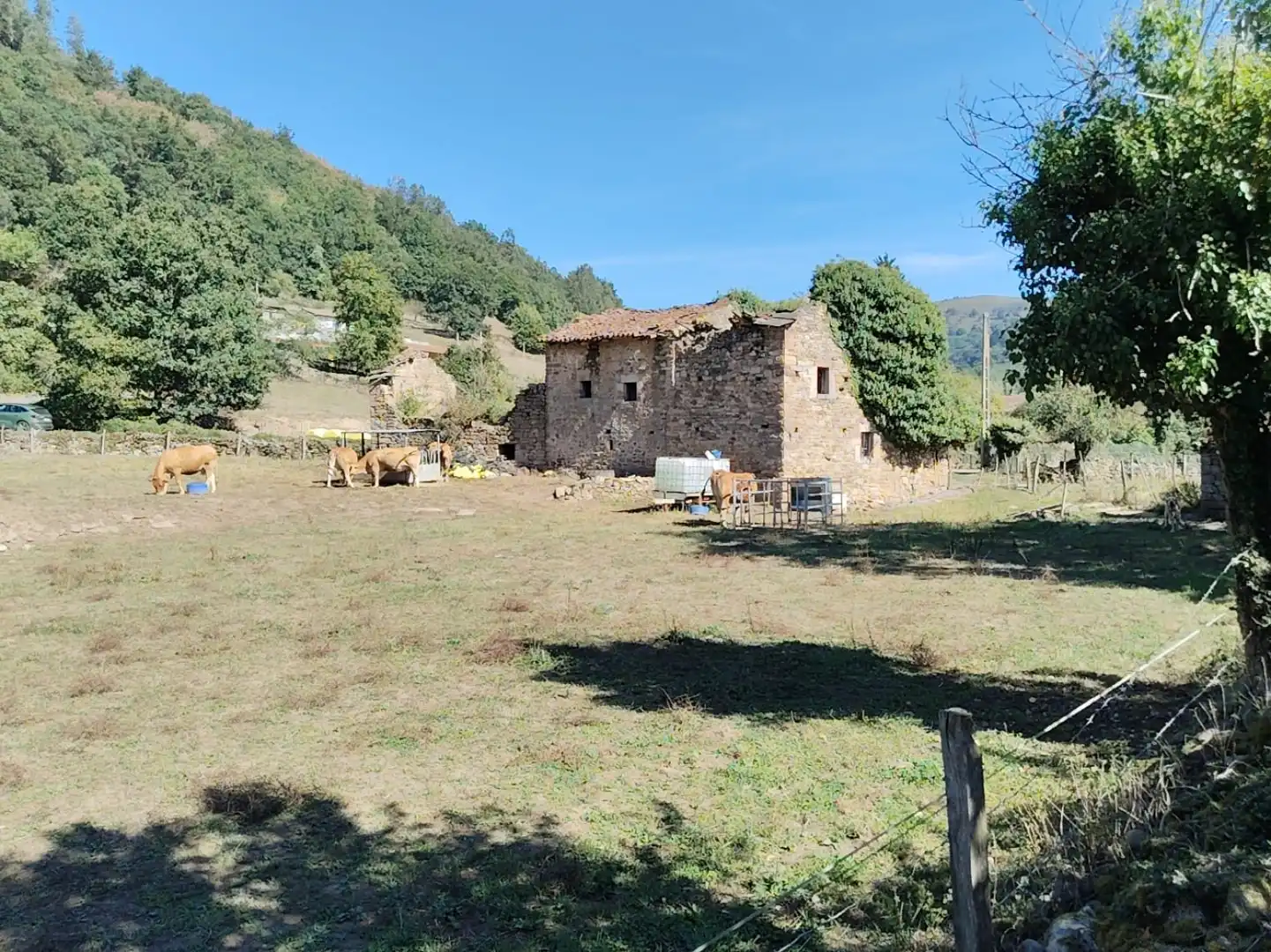 Maison avec jardin à vendre à San Juán de Raicedo - BO SAN JUAN RAICEDO, imagen 3