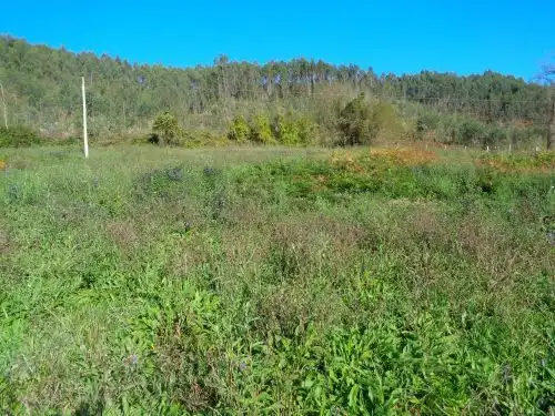 Terreno rustico in vendita a Parroquias suroccidentales, imagen 8