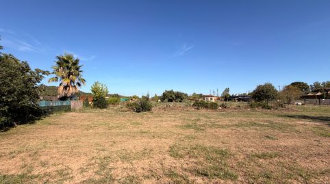 BAIX EMPORDÀ, FORALLAC, VULPELLAC, SOLAR, immagine 4