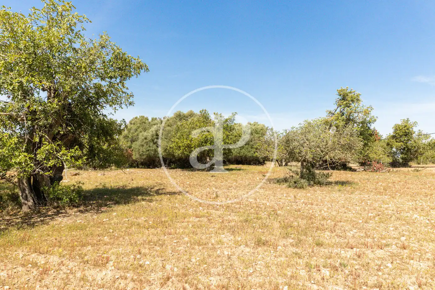 Residencial en venta en Felanitx