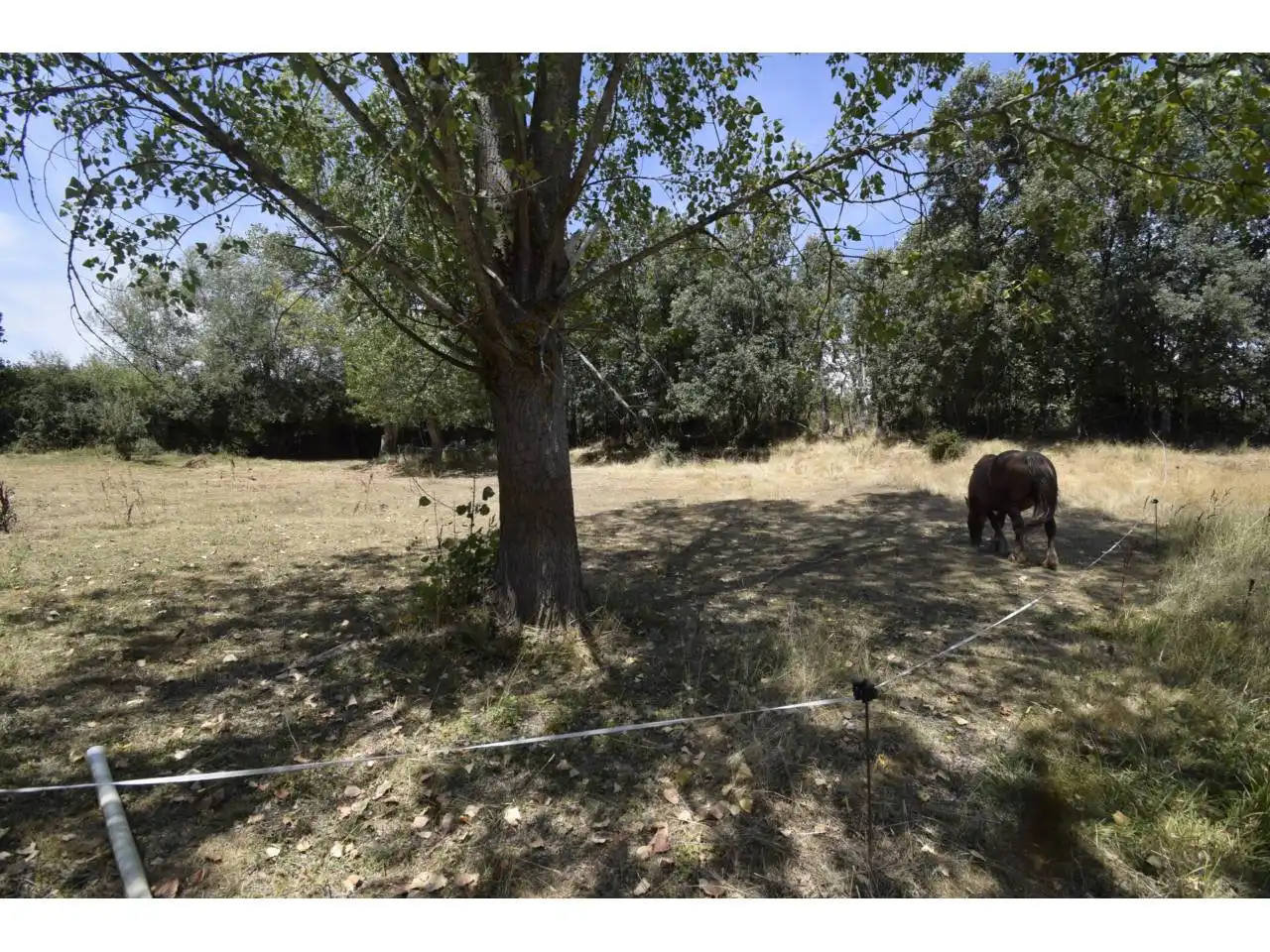 Finca rústica en venda a Valdefresno