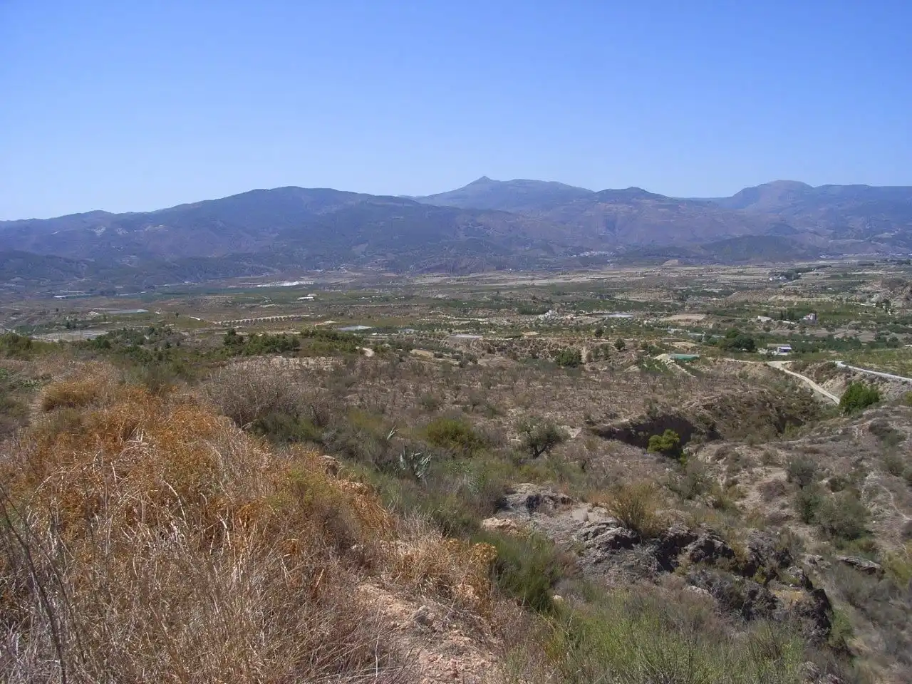 Außenansicht von Grundstücke zum Verkauf in Urrácal