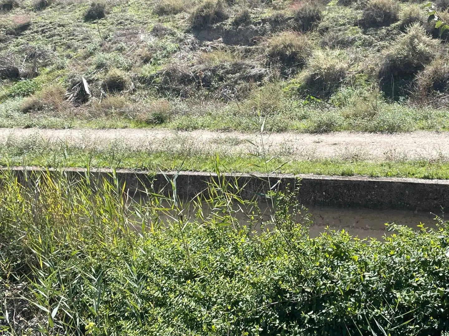 Rustikales Grundstück zum Verkauf in La pavera, imagen 45