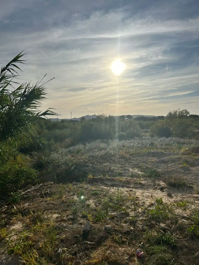 Terrain rustique à vendre à Arcos de la Frontera, imagen 2