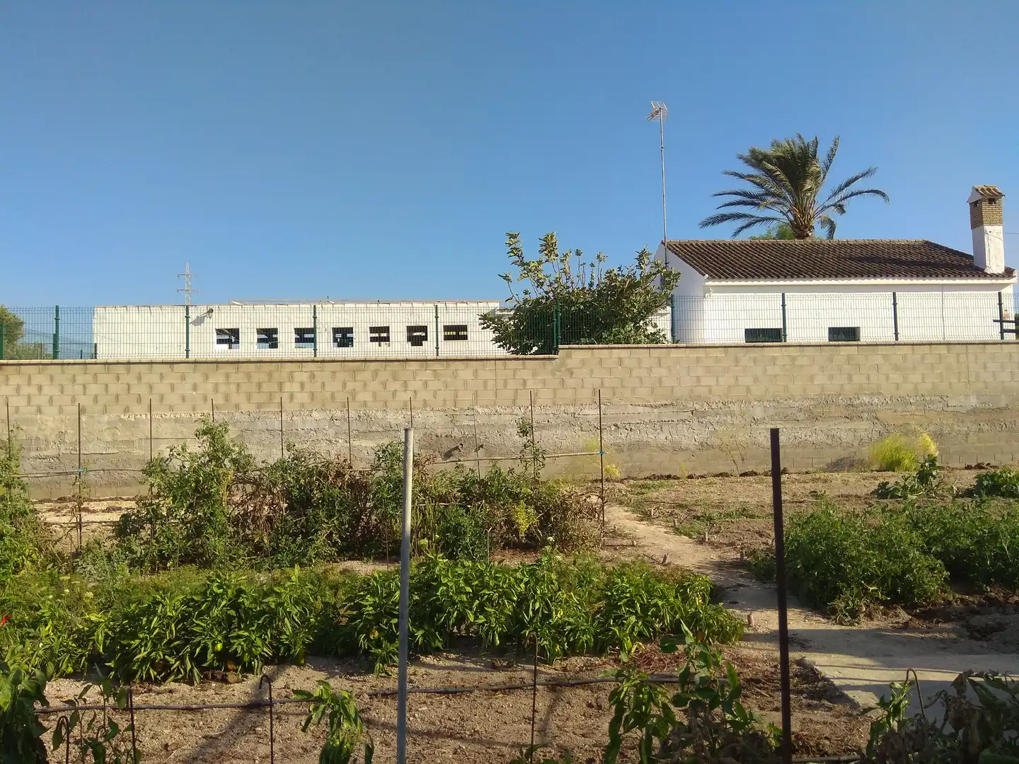 Rustikales Grundstück zum Verkauf in Los Franceses – La Vega, imagen 3