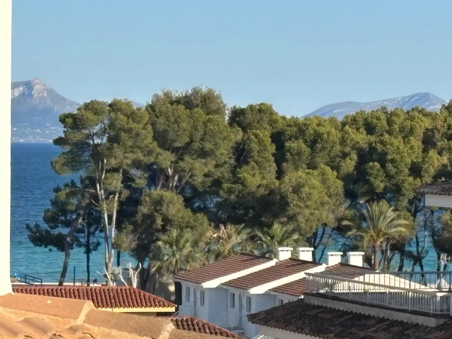 Vista exterior de Ático en venta en Alcúdia con Jardín privado y Terraza
