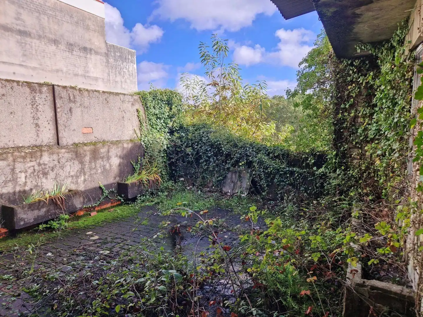 Maison à vendre à Negreira, imagen 14