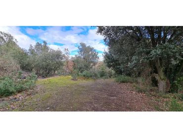 Terreny rústic en venda a Lliçà d'Amunt
