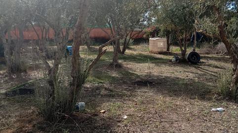 Photo 2 of Land for rent in N/a, -1, Pedanías Norte, Utrera