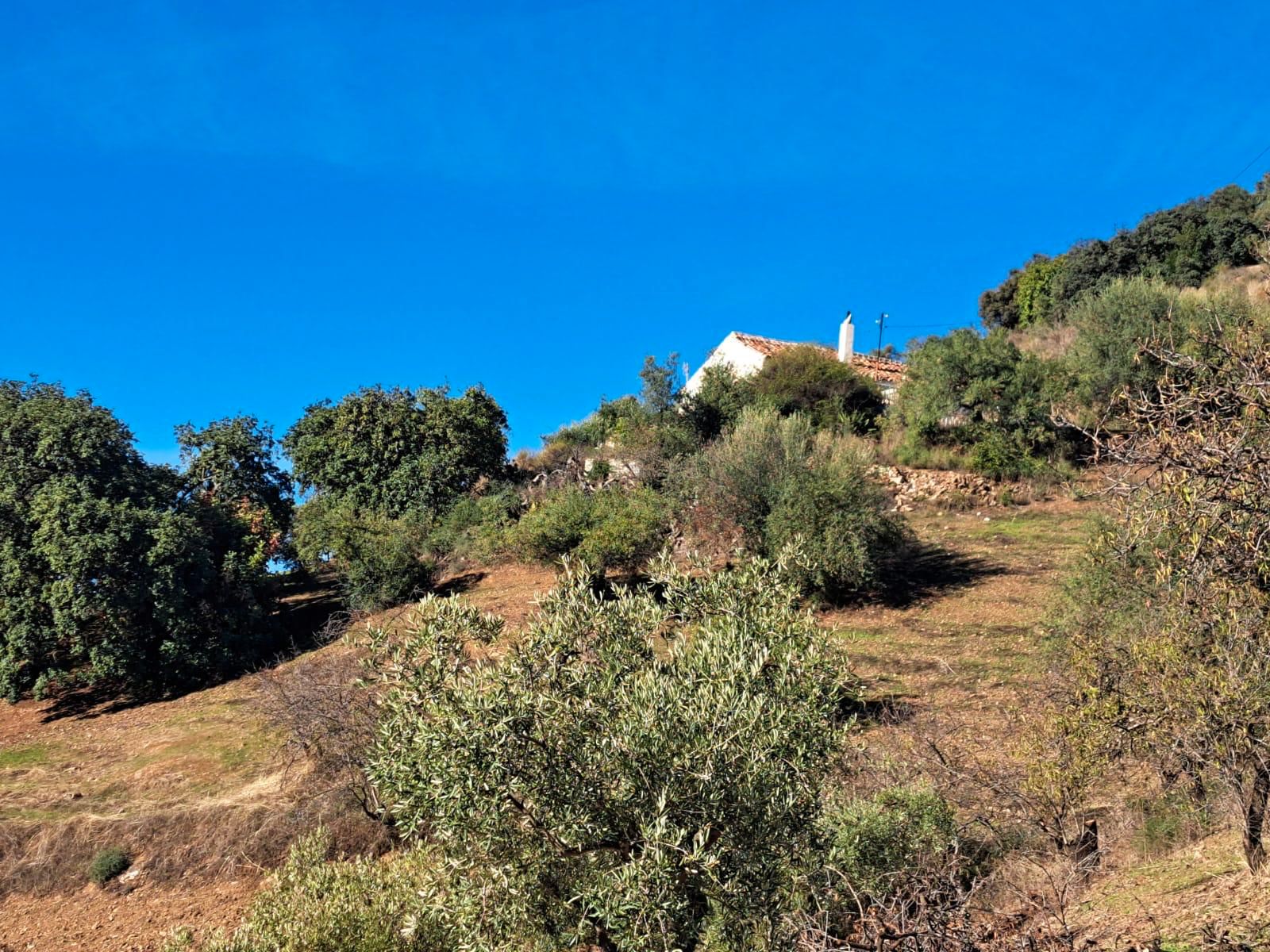 Casa o chalet en venta en Colmenar con Jardín privado