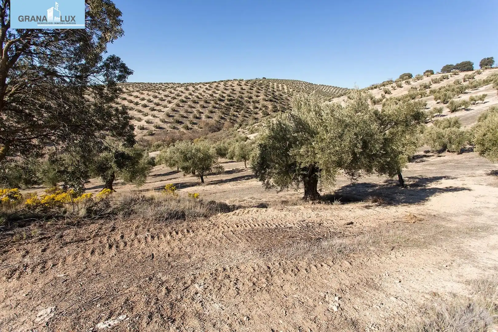 Land for sale in Campotéjar