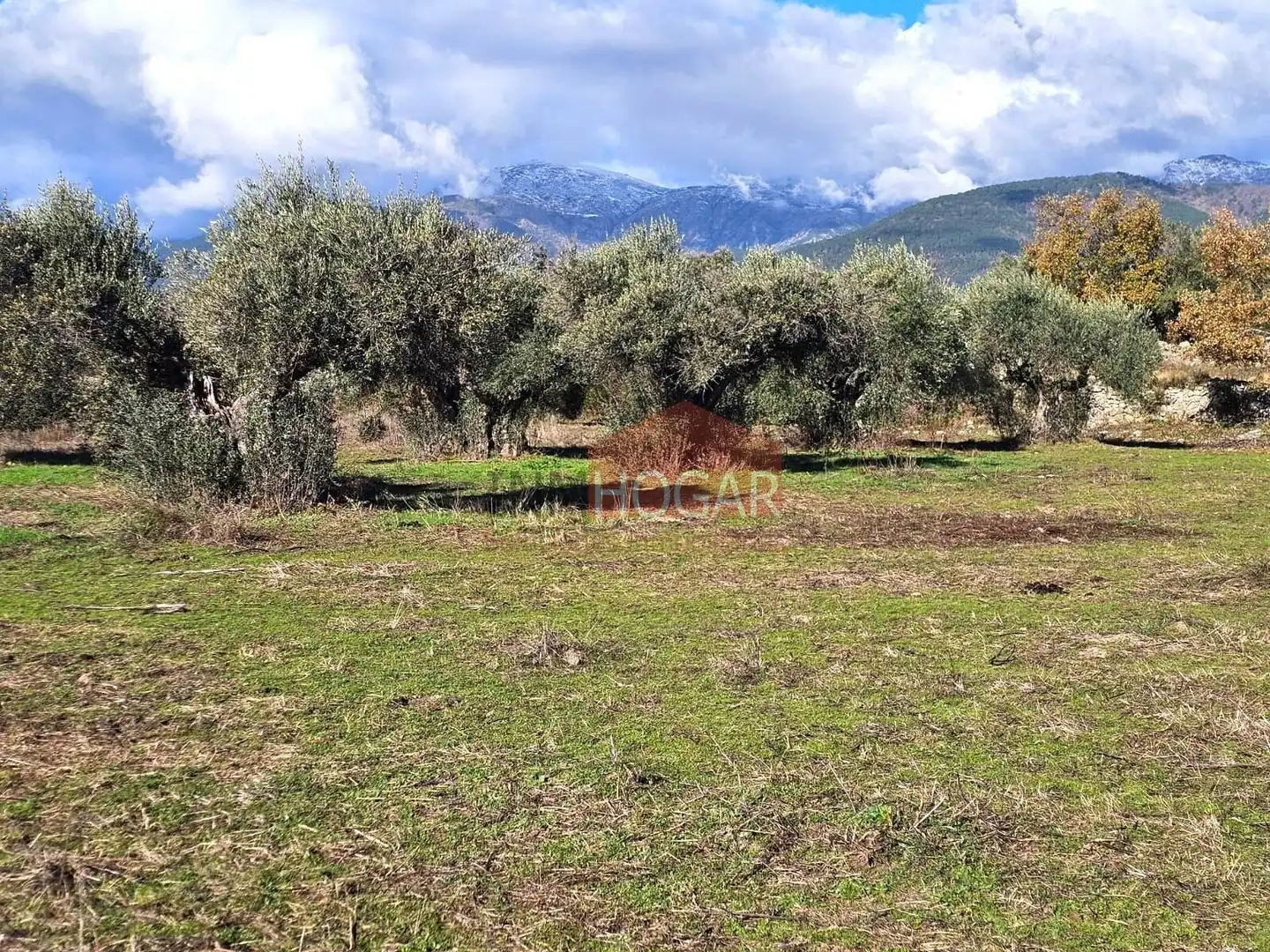 Terreni e lotti in vendita a La Adrada, imagen 14