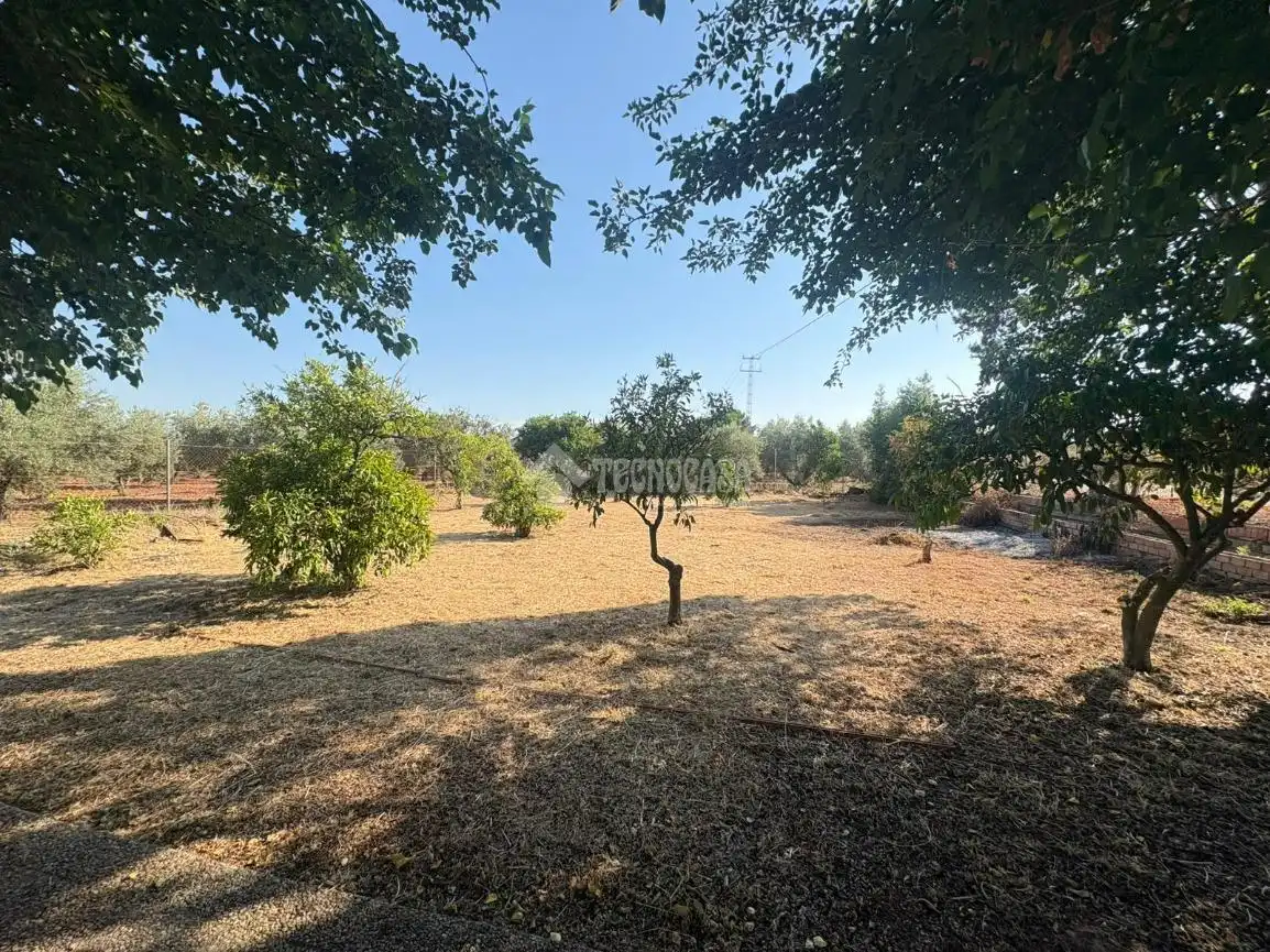 Country homes for sale in Andújar  with Private garden and Terrace