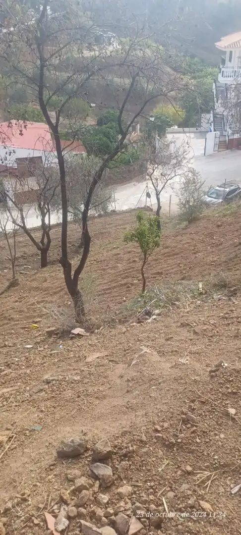 Finca rústica en venda a Calle Carril, Almogía