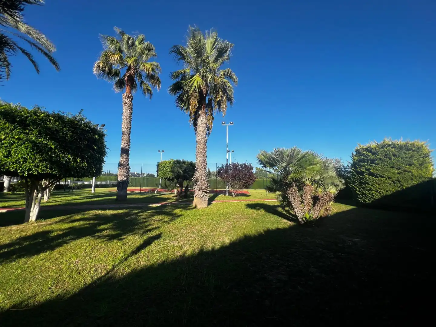 Chalet con piscina en venta en Perleta - Maitino, imagen 10