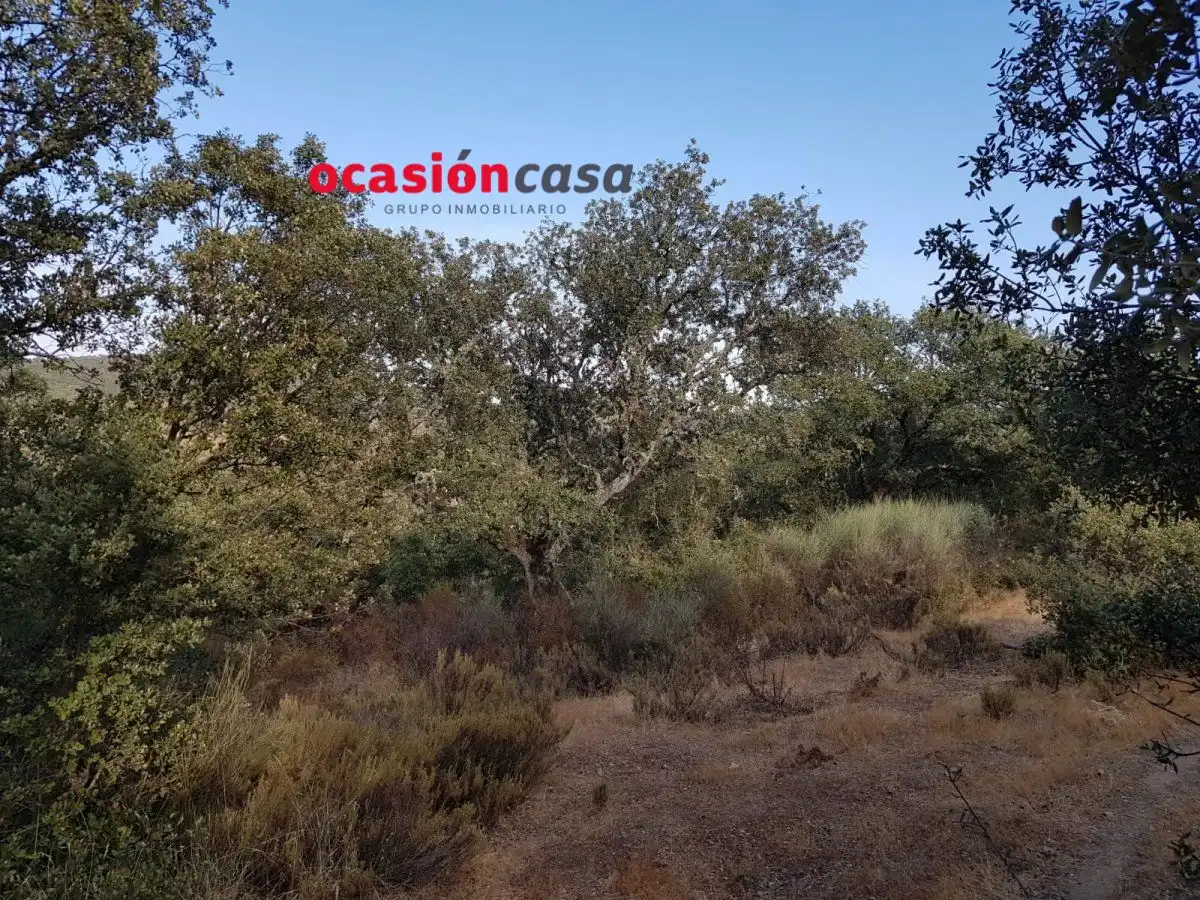 Finca rústica en venta en Espiel con Piscina y Amueblado