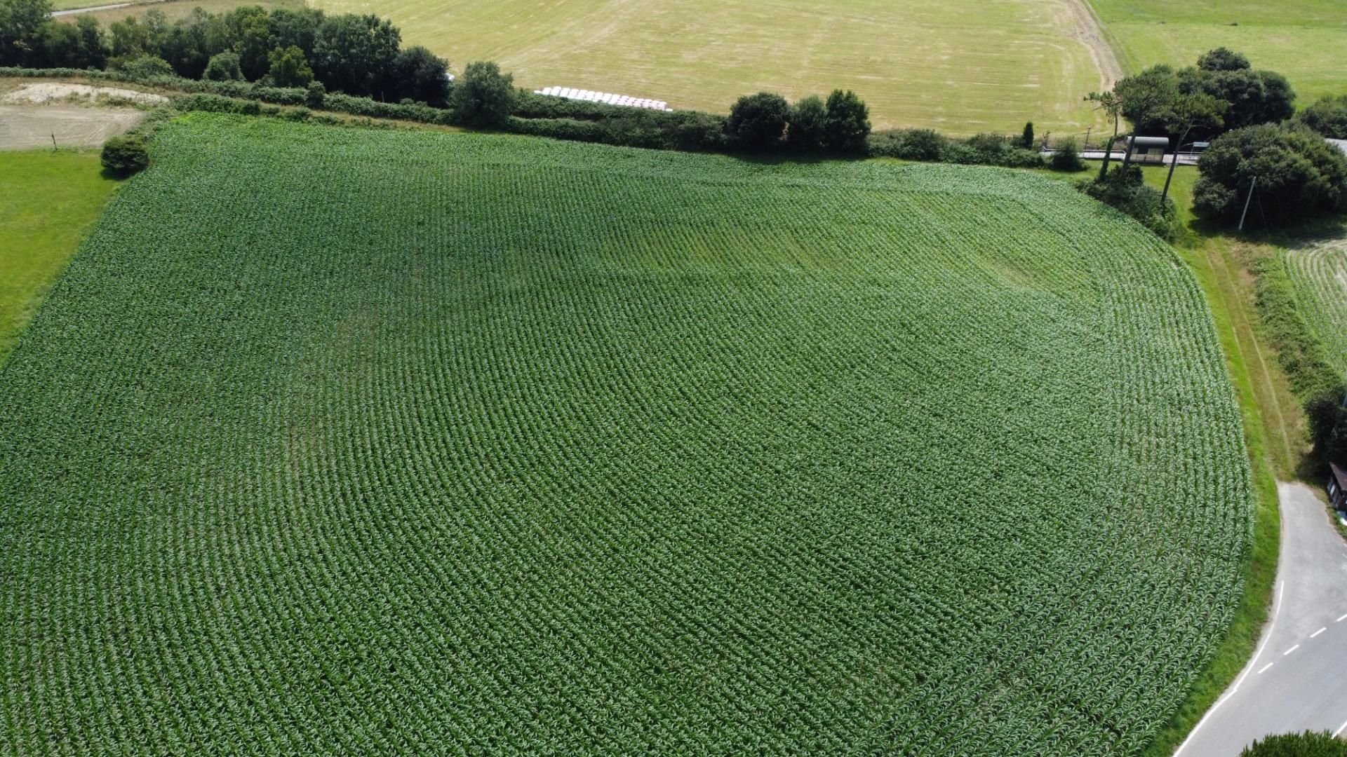 Residencial en venta en Navia