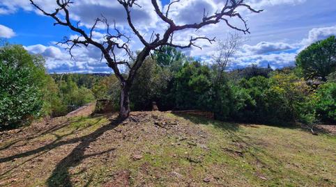 Photo 3 of Residential for sale in Calle Calle Ginés, 24, Los Lagos, Guillena