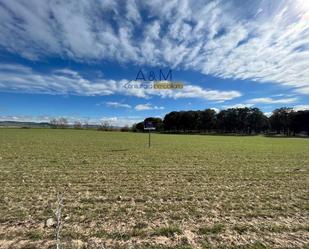 Land for sale in Torrecilla de la Abadesa