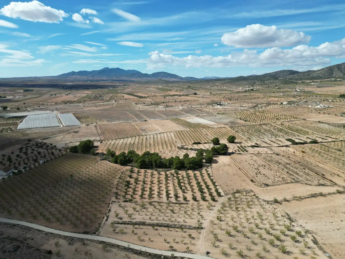 Terreno residencial en venta en El Pinós / Pinoso, imagen 17