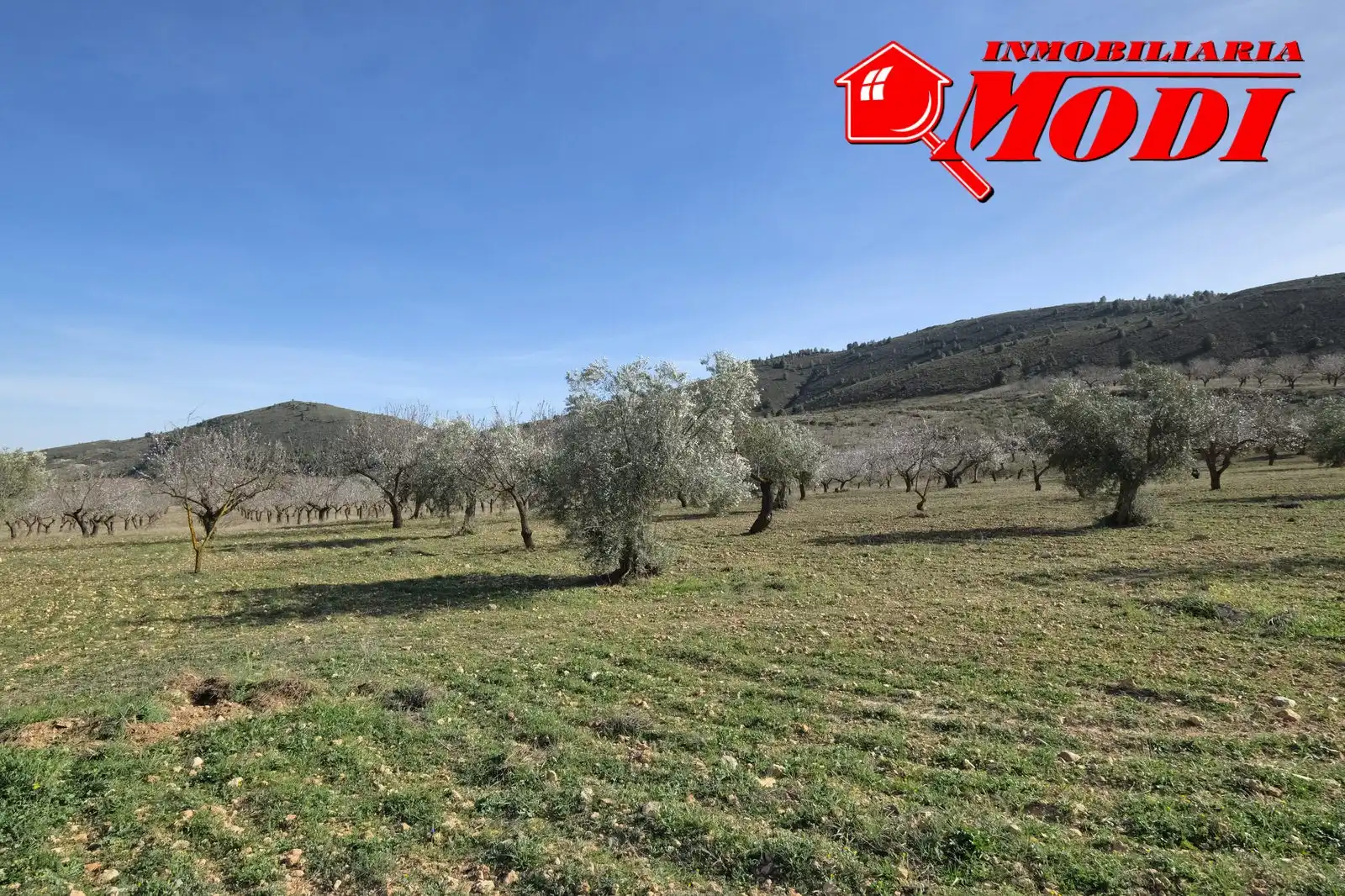 Terreni e lotti in vendita a El Valle, imagen 32