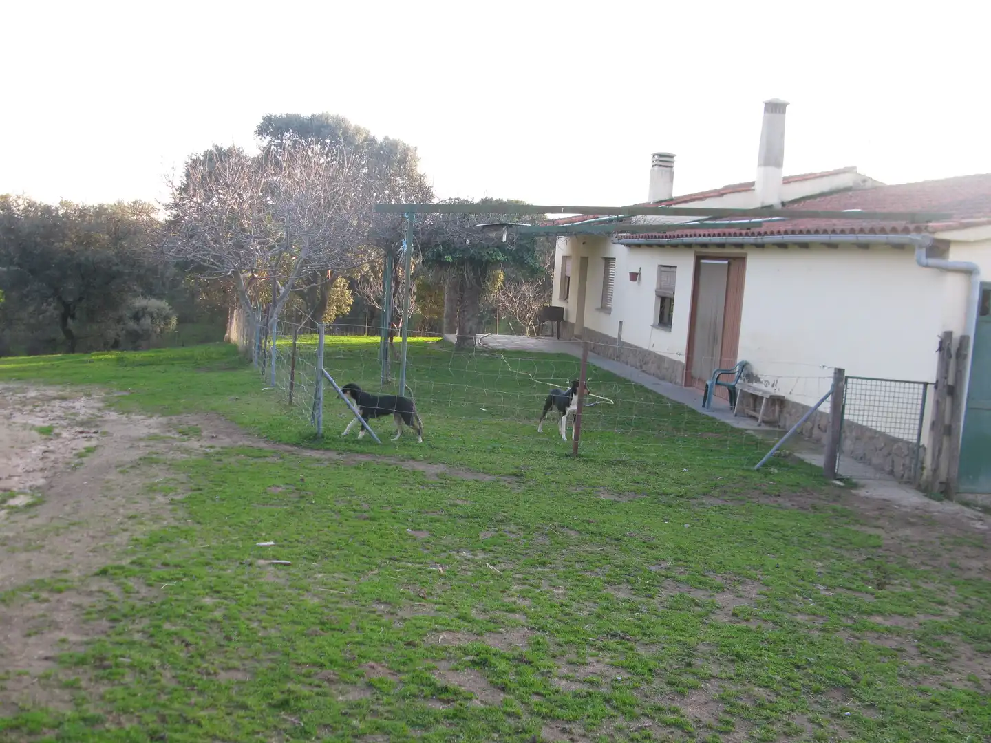 Terreni e lotti in vendita a Jarandilla de la Vera, imagen 8