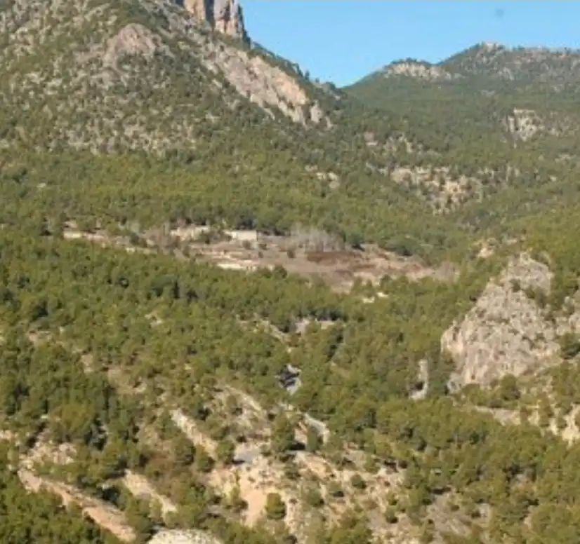 Terreny rústic en venda a Moratalla, imagen 2