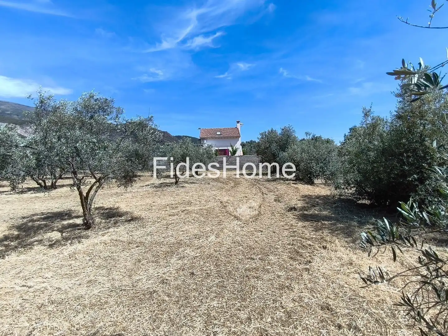 Rural land for sale in XFJ3+526 Nigüelas 0, imagen 11