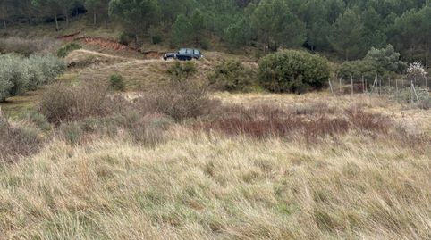 finca de secano, immagine 5