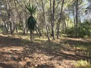 Rustikales Grundstück zum Verkauf in Partida Cumbres de Calicanto, imagen 4