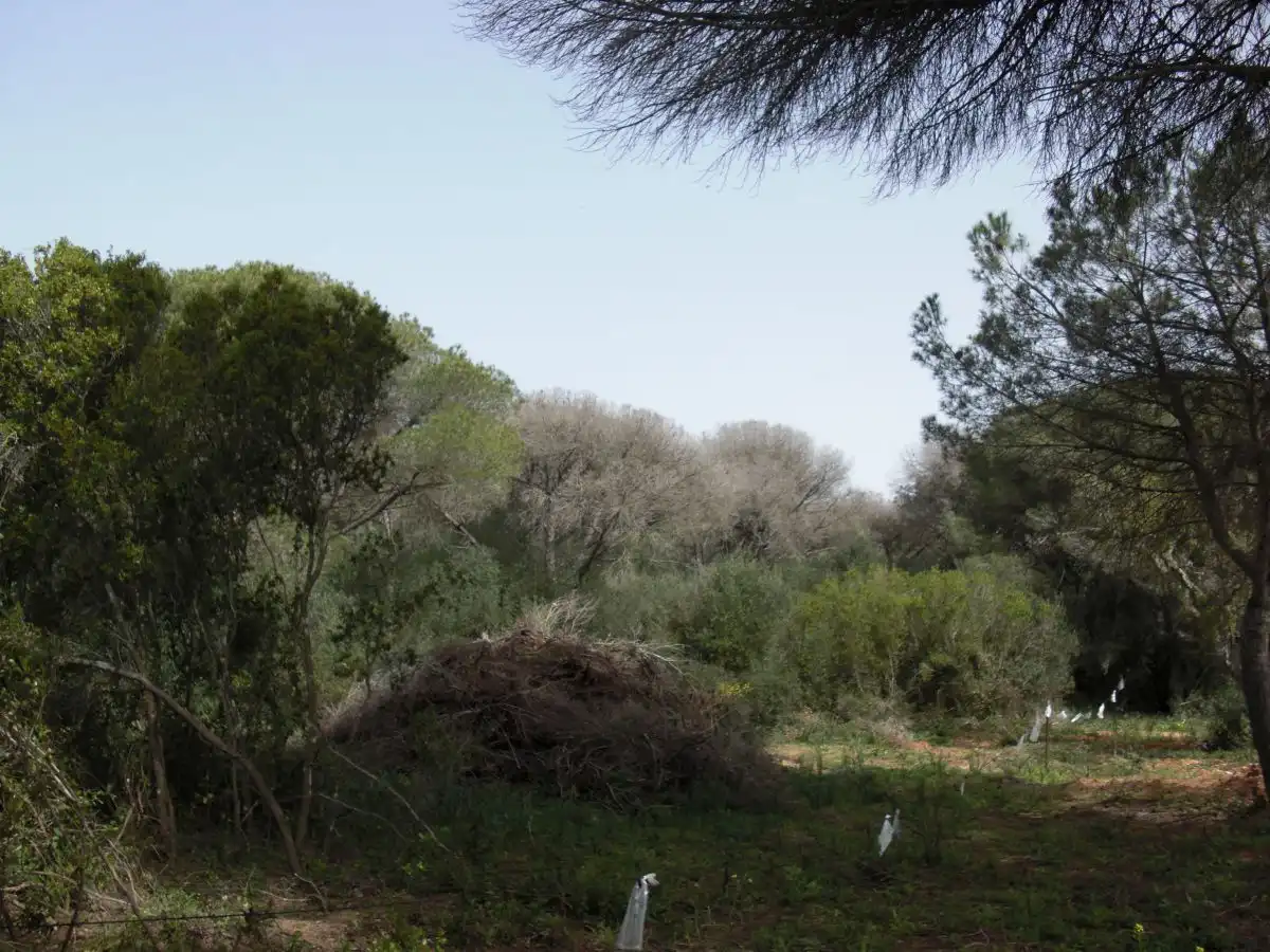 Casa rústica en venda a Vejer