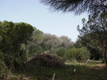 Casa rustica in vendita a Vejer
