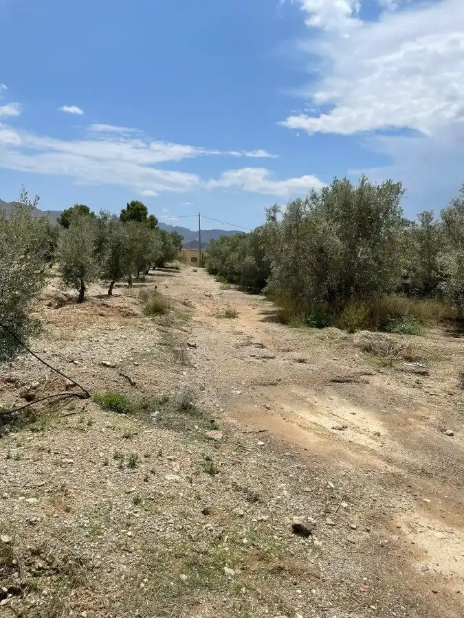 Terrenys i solars en venda a Huércal-Overa, imagen 10