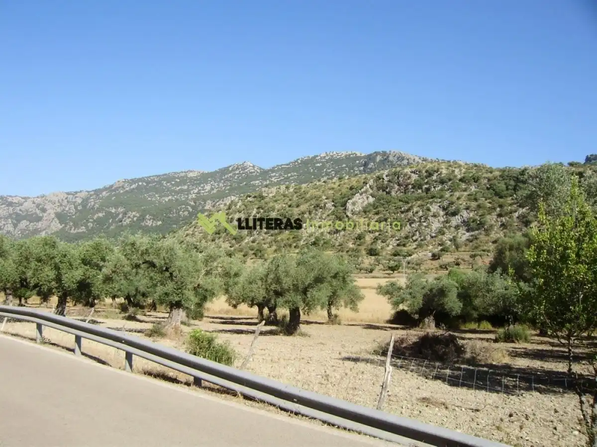 Country house for sale in Bunyola, imagen 3