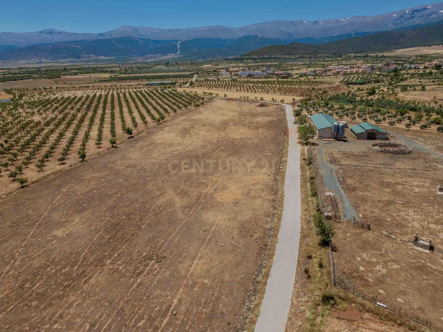 Terreno en venta en Cogollos de Guadix