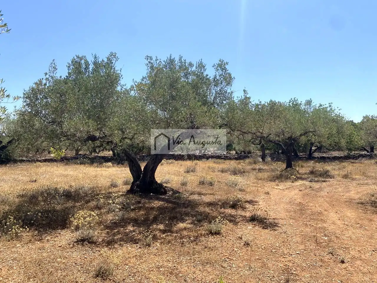 Terreno rustico in vendita a Bordes, imagen 9