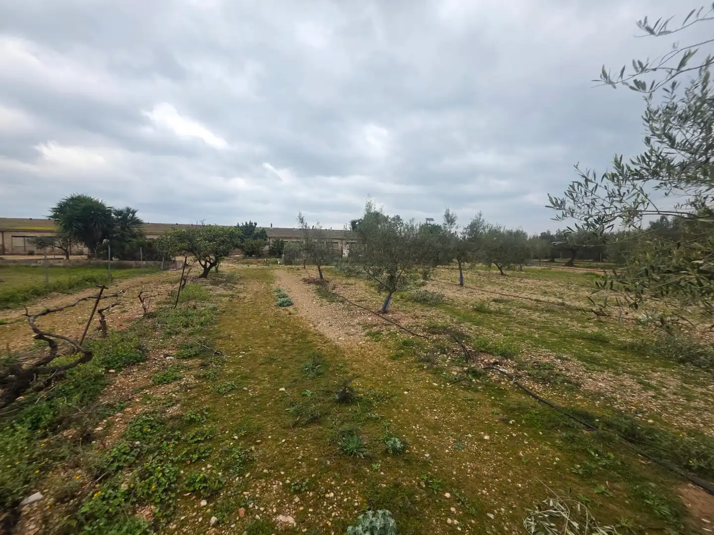 Terreno rustico in vendita a Santa Bàrbara, imagen 44