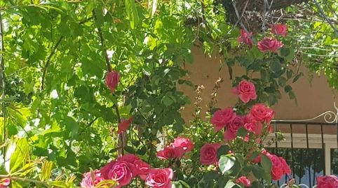 Foto 4 de Casa o xalet en venda a Carretera Raspajos, Alcóntar, Almería