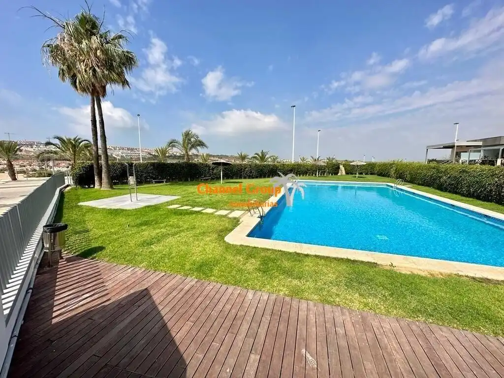 Swimming pool of Apartments for rent in Elche / Elx  with Terrace, Storage room and Furnished