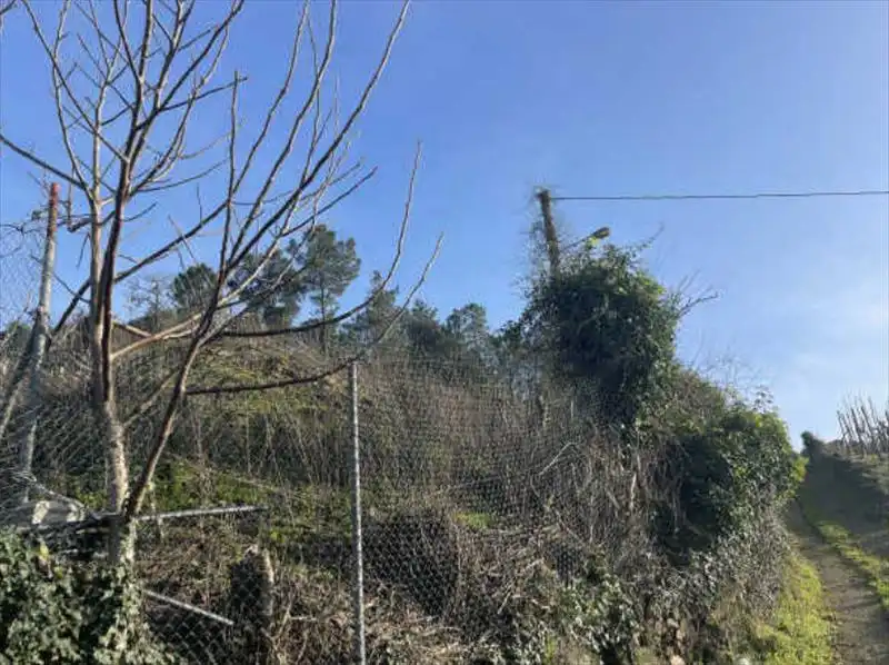 Residencial en venta en Castrelo de Miño