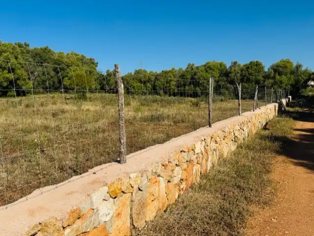 Land for sale in Manacor