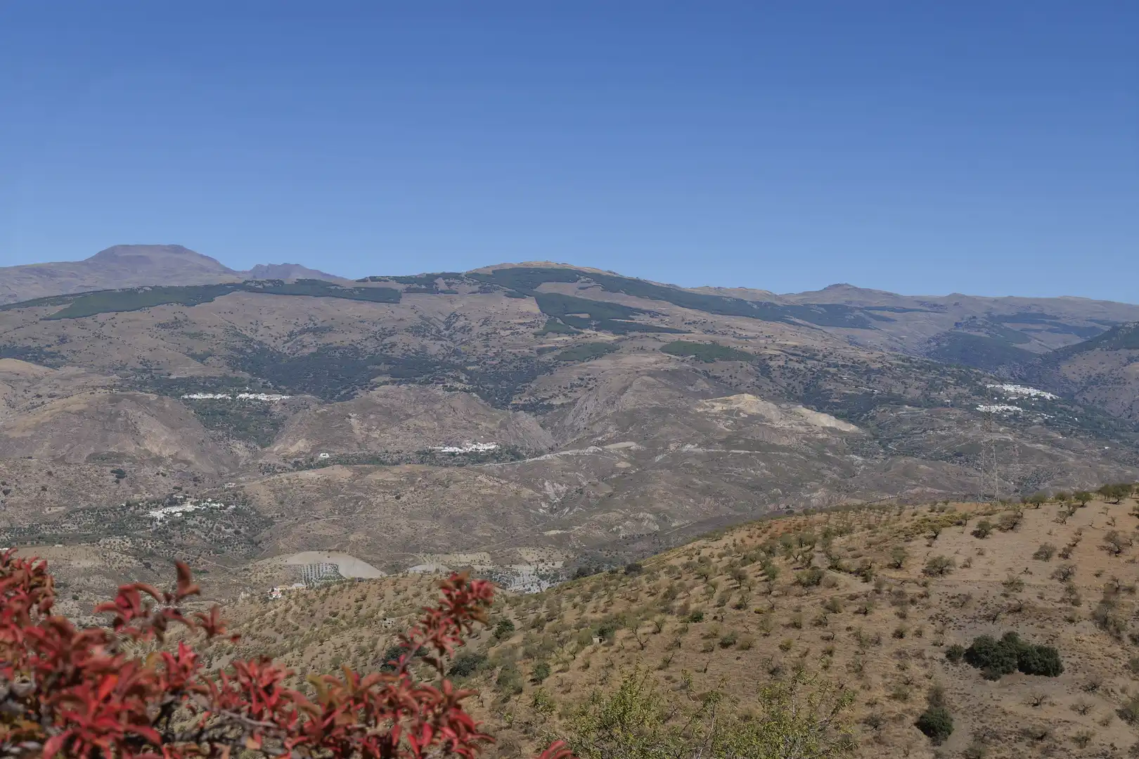 Vista exterior de Finca rústica en venta en Cádiar