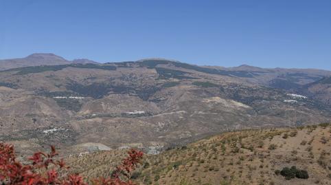 Photo 5 of Country house for sale in N/a, -1, Cádiar, Granada