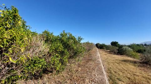 Foto 2 de Terreny en venda a Tormos, Alicante