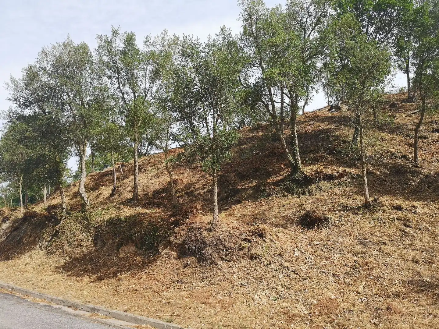 Residential land for sale in Caldes de Malavella, imagen 3